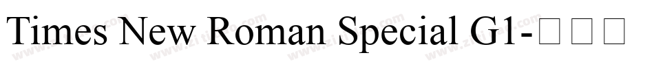 Times New Roman Special G1字体转换
